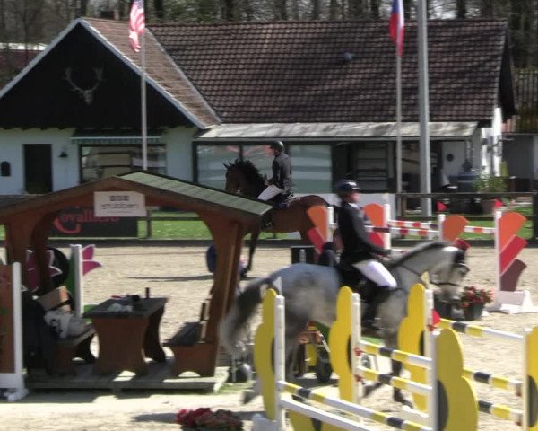 Reitturnier Klein Roscharden 2023