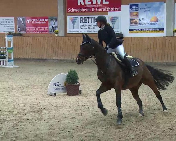 Reitturnier Grafenrheinfeld/Ufr. 2021