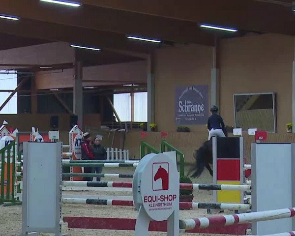 Reitturnier Grafenrheinfeld/Ufr. 2021