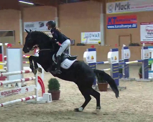 Reitturnier Grafenrheinfeld/Ufr. 2021