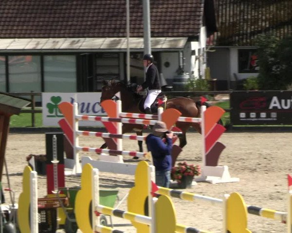 Reitturnier Klein Roscharden 2023