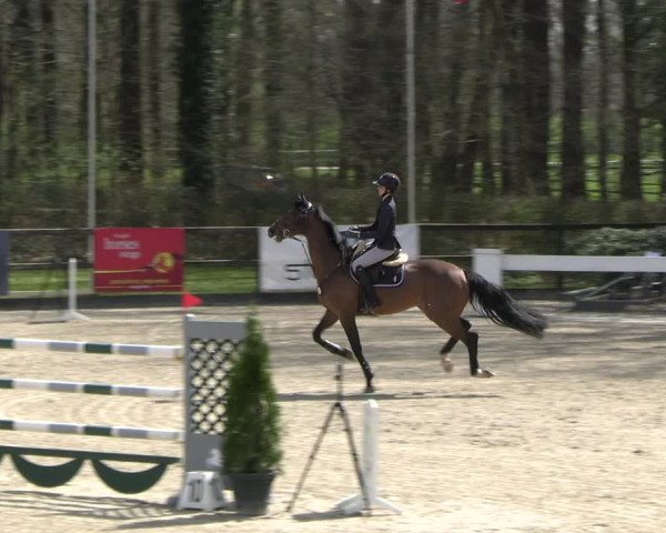 Reitturnier Klein Roscharden 2023
