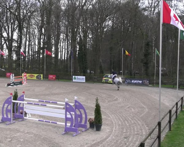 Reitturnier Klein Roscharden 2023