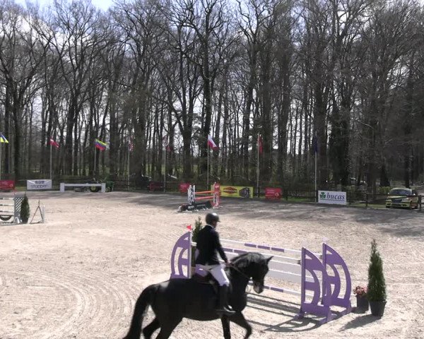 Reitturnier Klein Roscharden 2023