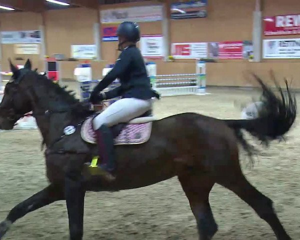 Reitturnier Grafenrheinfeld/Ufr. 2021