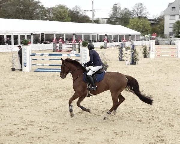 Reitturnier Amriswil 2023