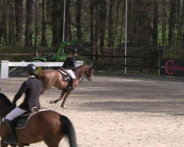 Reitturnier Klein Roscharden 2023
