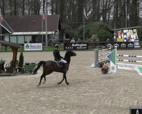 Reitturnier Klein Roscharden 2023