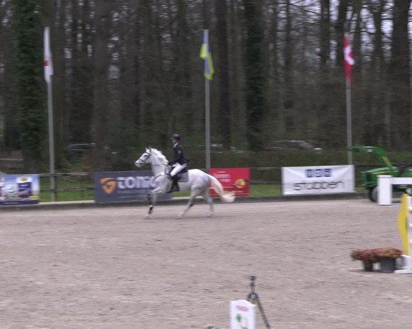 Reitturnier Klein Roscharden 2023