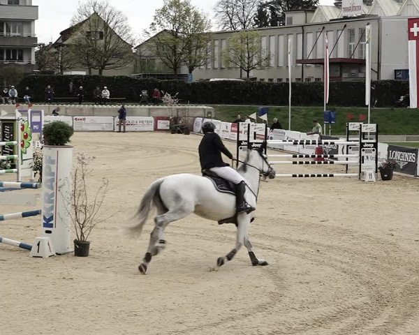 Reitturnier Amriswil 2023