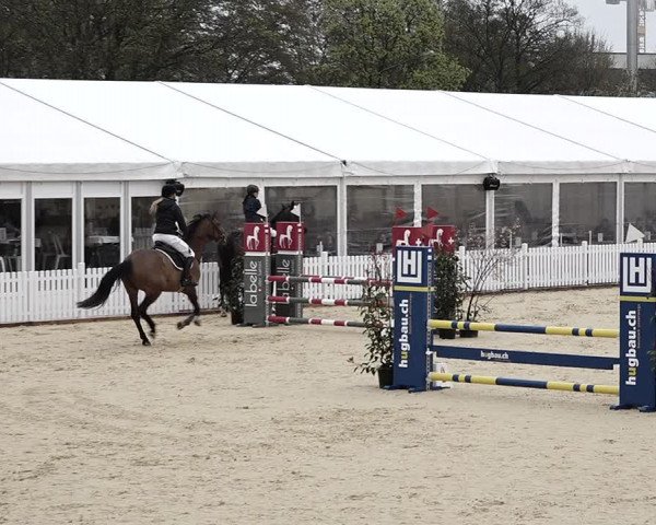 Reitturnier Amriswil 2023