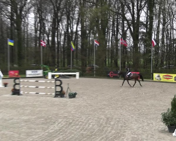 Reitturnier Klein Roscharden 2023