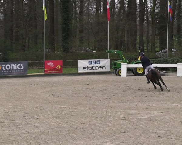 Reitturnier Klein Roscharden 2023