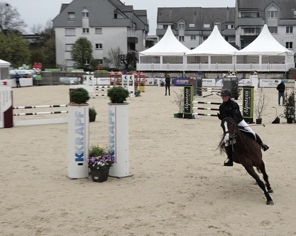 Reitturnier Amriswil 2023