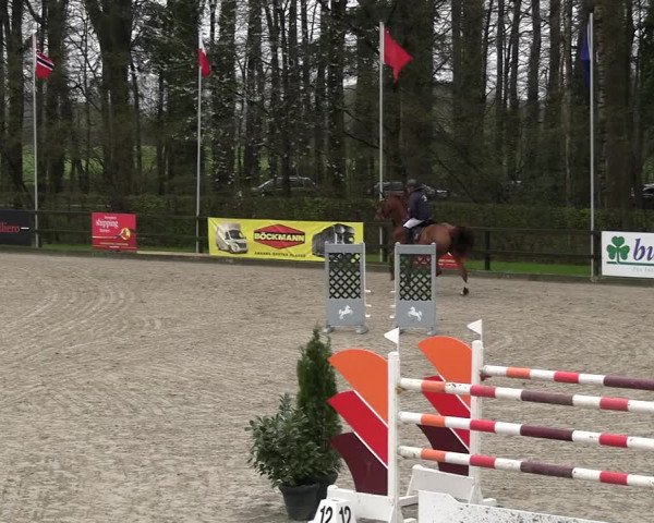 Reitturnier Klein Roscharden 2023