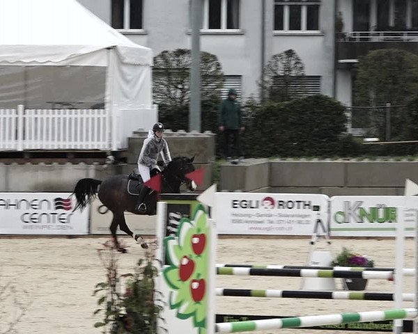Reitturnier Amriswil 2023