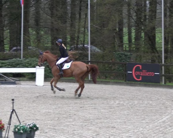 Reitturnier Klein Roscharden 2023