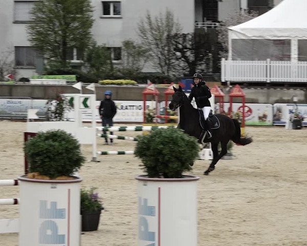 Reitturnier Amriswil 2023