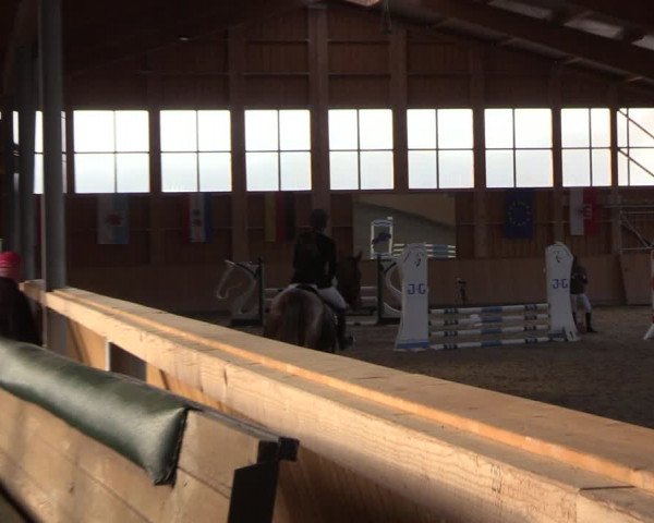 Reitturnier Polzow 2021