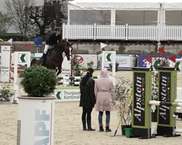 Reitturnier Amriswil 2023