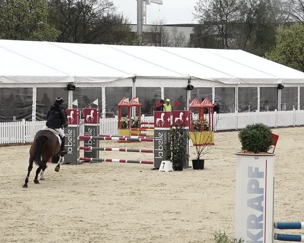 Reitturnier Amriswil 2023