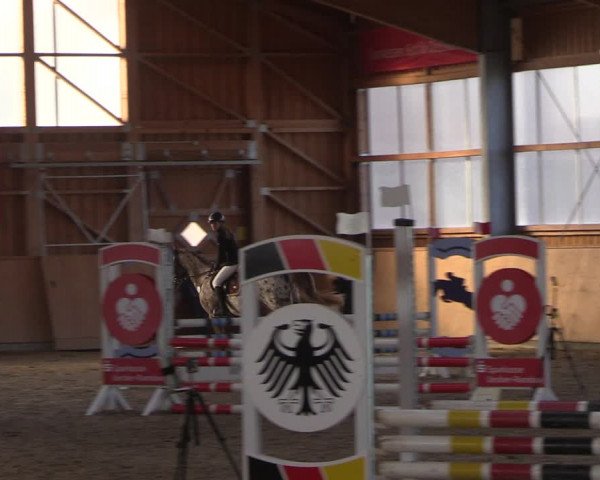 Reitturnier Polzow 2021