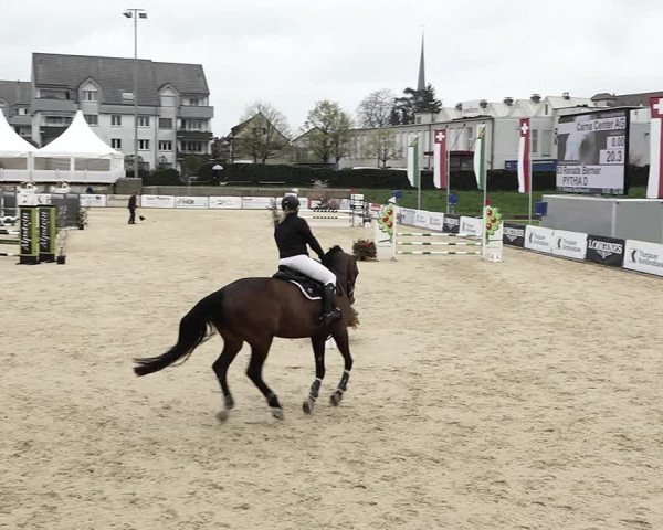 Reitturnier Amriswil 2023