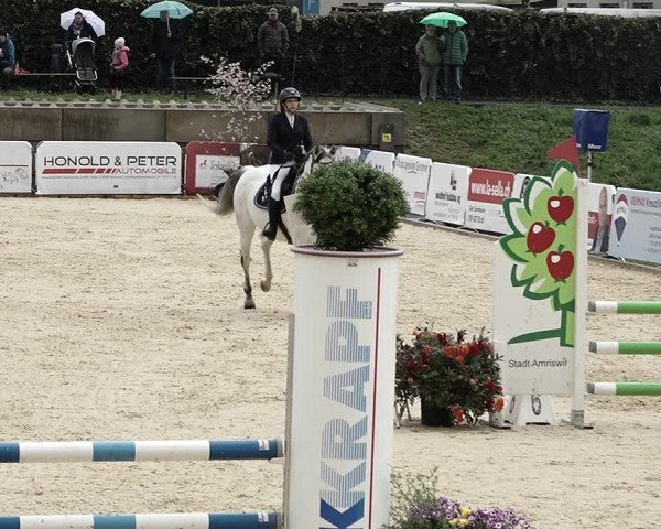 Reitturnier Amriswil 2023