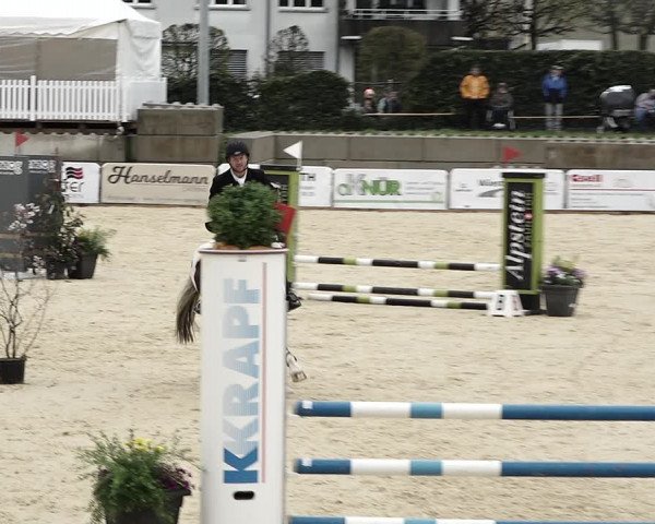 Reitturnier Amriswil 2023