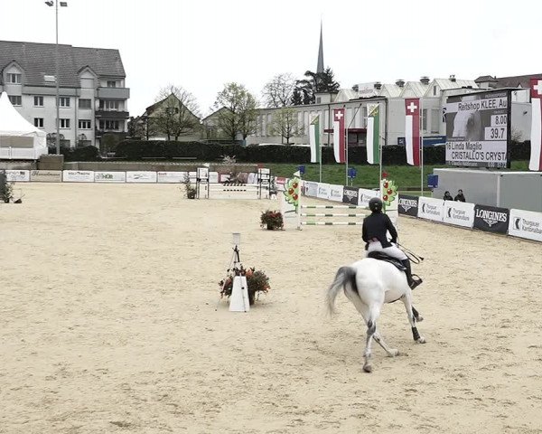 Reitturnier Amriswil 2023