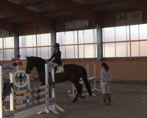 Reitturnier Polzow 2021