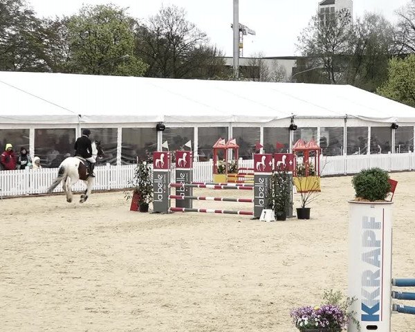 Reitturnier Amriswil 2023