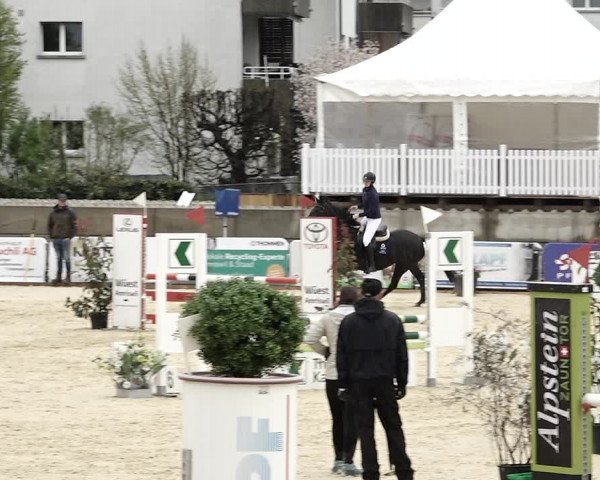 Reitturnier Amriswil 2023