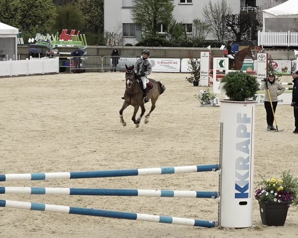 Reitturnier Amriswil 2023