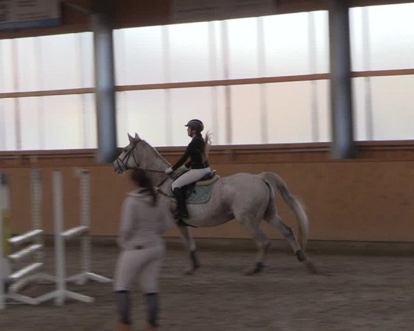 Reitturnier Polzow 2021