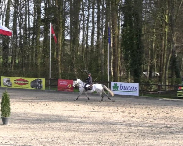 Reitturnier Klein Roscharden 2023