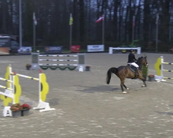 Reitturnier Klein Roscharden 2023