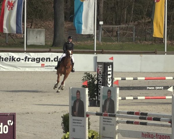 Reitturnier Westergellersen 2023