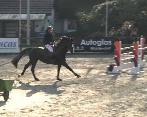Reitturnier Klein Roscharden 2023