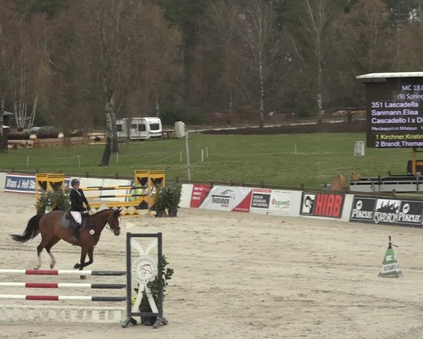 Reitturnier Westergellersen 2023