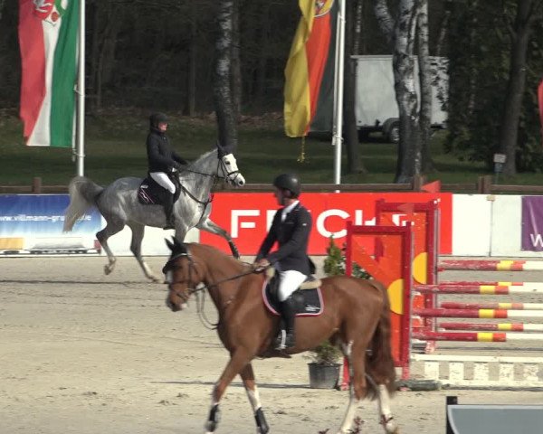 Reitturnier Westergellersen 2023