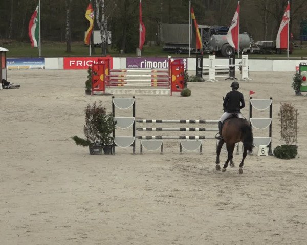 Reitturnier Westergellersen 2023