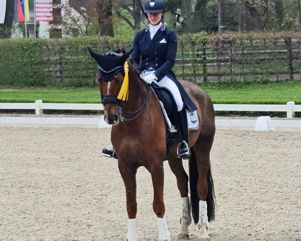 dressage horse Frascati 74 (Oldenburg, 2014, from Franziskus FRH)