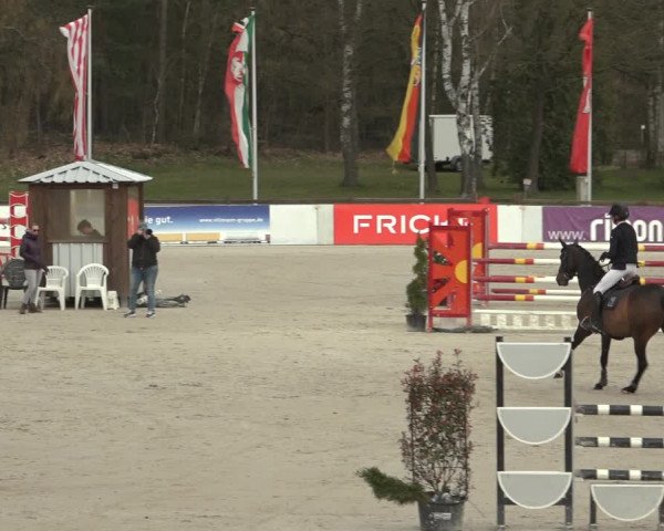 Reitturnier Westergellersen 2023