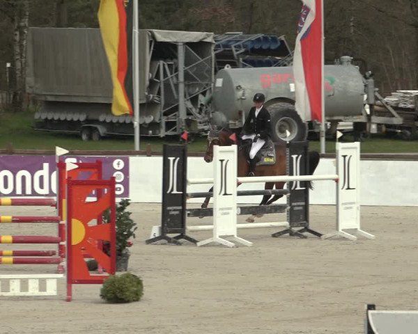 Reitturnier Westergellersen 2023