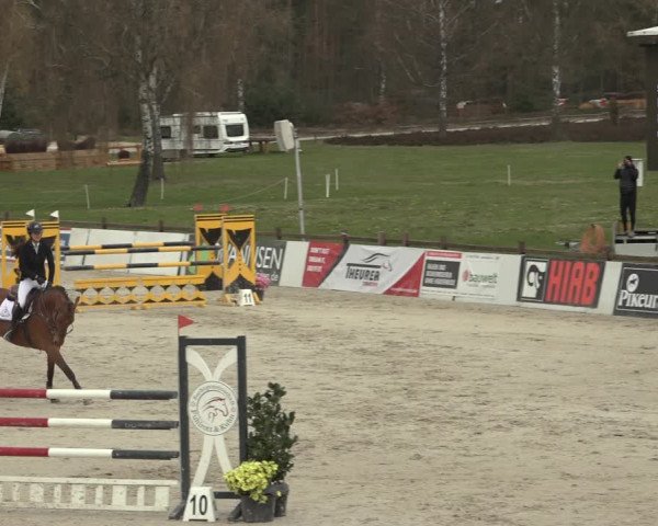 Reitturnier Westergellersen 2023