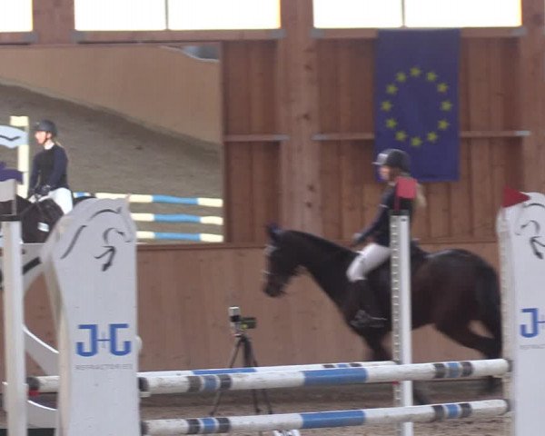 Reitturnier Polzow 2021