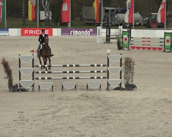 Reitturnier Westergellersen 2023
