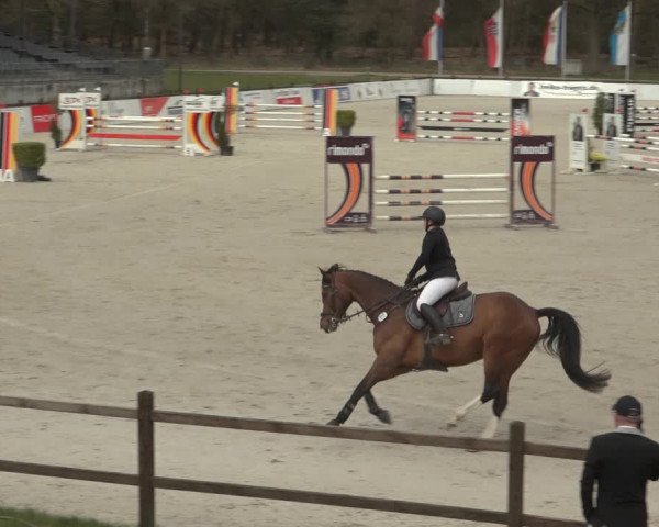 Reitturnier Westergellersen 2023