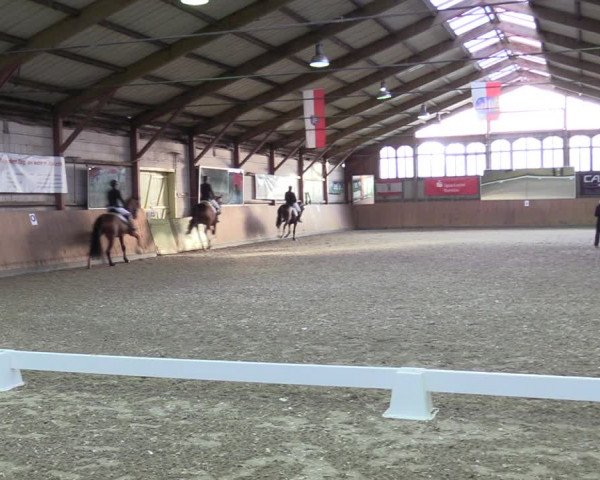 Reitturnier Elisenau 2021